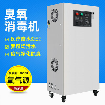 purificador del agua del generador del ozono del equipo de la desinfección del agua 1000g/H