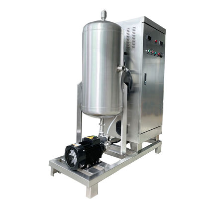 equipo de la desinfección del agua 100g/h, máquina del tratamiento de aguas del ozono