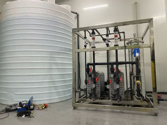 1000Lph RO+EDI de doble etapa para filtración de agua industrial