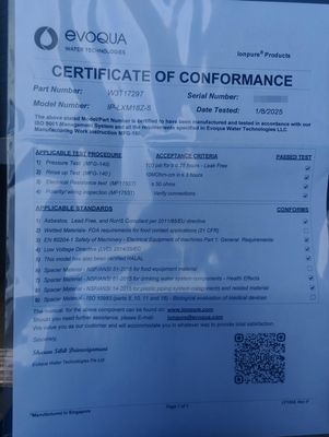Iónpuro CEDI LX-Z IP-LXM18Z-5 para agua desionizada industrial