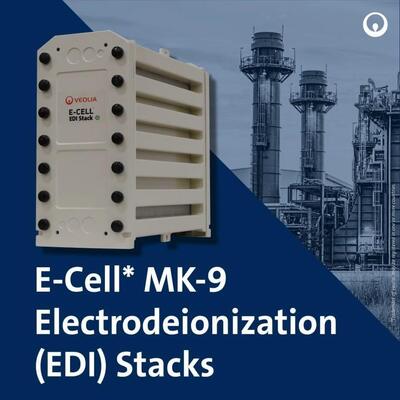 E-Cell MK-9 EDI para la producción de agua de alta pureza con rango de flujo de 18,5-44,0 GPM y sin regeneración química en acero inoxidable