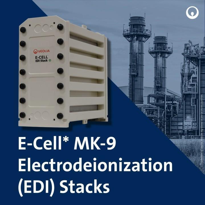 E-Cell MK-9 EDI para la producción de agua de alta pureza con rango de flujo de 18,5-44,0 GPM y sin regeneración química en acero inoxidable