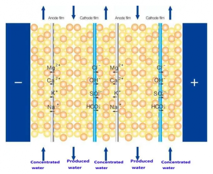 Máquina de agua ultrapura de doble paso RO 1500L/H EDI para la industria 1