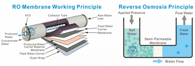 5TPH 7.4kW-380-415V 2xSS304 Tanques de agua salada Planta de agua de ósmosis inversa 0